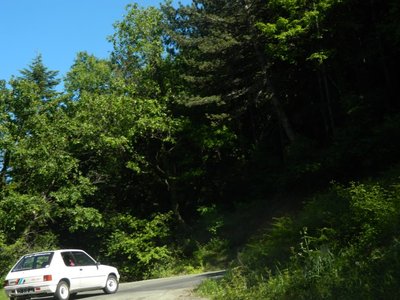 DSCN7025.JPG