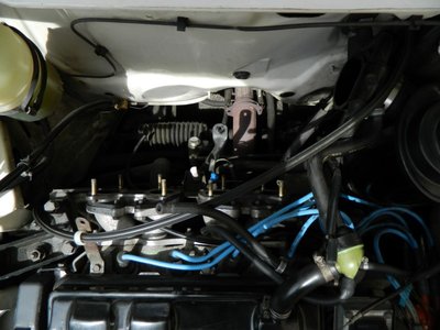 DSCN7151.JPG