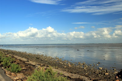 IMG_3084M.jpg