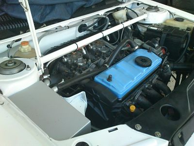 DSC_0515_opt.jpg