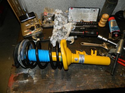 DSCN8498.JPG
