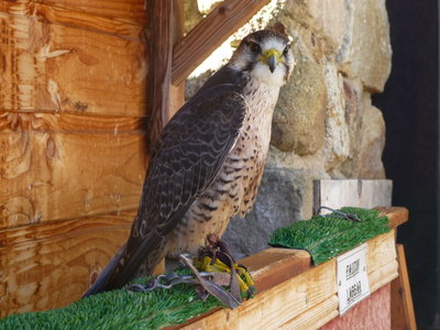 P1050155.JPG