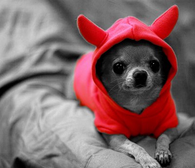 dog demon.jpg