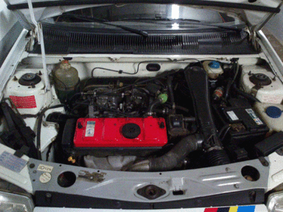 DSC_0005.gif