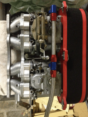 IMG_2486.gif