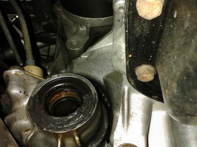 20141104_101352.jpg
