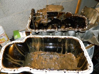 DSCN9554.JPG