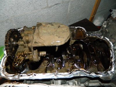 DSCN9555.JPG