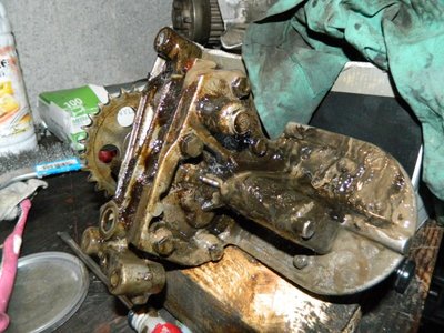 DSCN9556.JPG