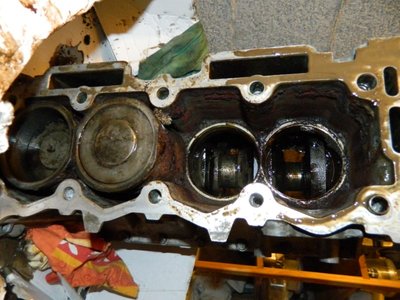 DSCN9559.JPG