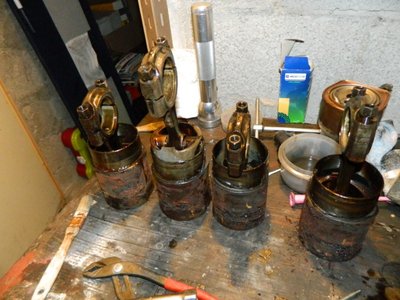 DSCN9562.JPG