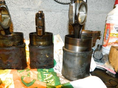 DSCN9565.JPG