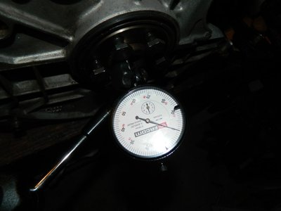 DSCN9717.JPG