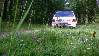 WP_20150508_009 - Copie.jpg