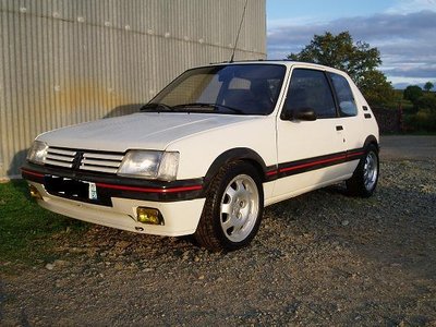 205 gti 023.jpg