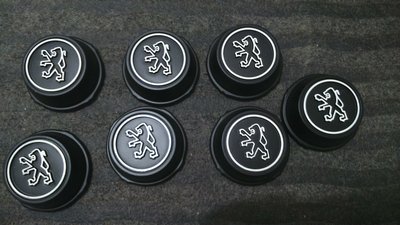 Après application de la peinture blanc meije sur le logo Peugeot et le cercle d'entourage