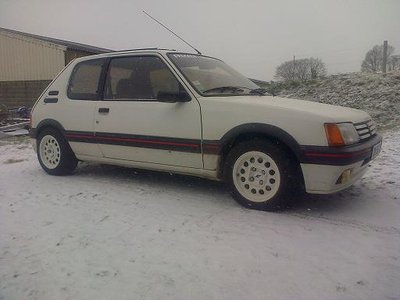 205 gti 087.jpg