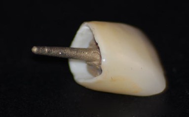 p005_0_01_01.jpg