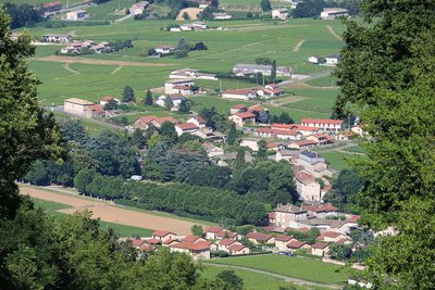 IMG_3249réduit.jpg