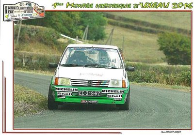 205 rallye meige et bambou 005.jpg