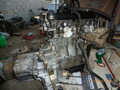 P1070558.JPG