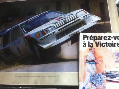 bruno saby/jean francois fauchille peugeot T16 1986