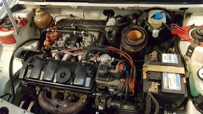 20170109_114312.jpg