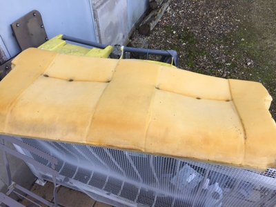 IMG_5596.JPG (118.24 Kio) Vu 2542 fois la mousse impeccable pour son âge