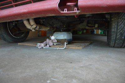 DSC_0087.jpg