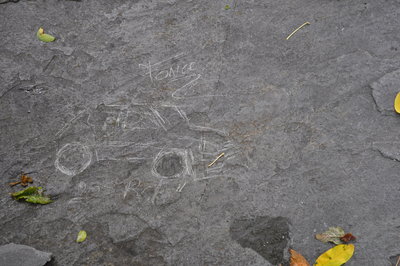DSC_0385.JPG