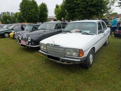 19598743_10203406660044157_7348615690813099799_n.jpg