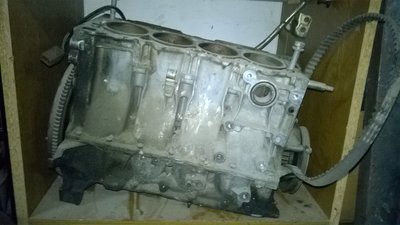 Photo_4.jpg