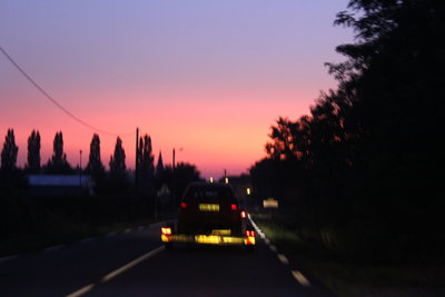 IMG_5446.JPG