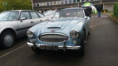 DSC_1825.JPG