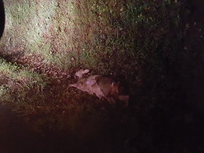 20180328_052335.jpg
