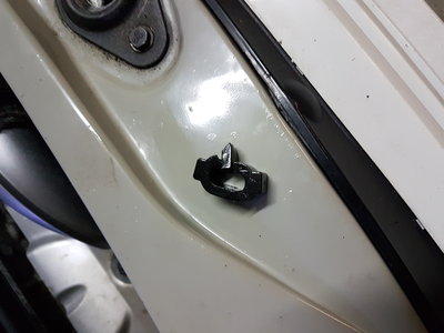 20180409_144823.jpg