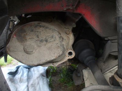DSCF8354.jpg