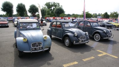 DSC03520.jpg