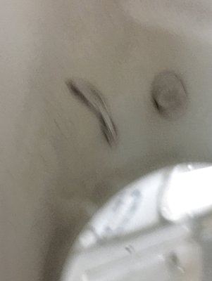 C341946A-9353-4DBB-8D1D-01036B09A7E0.jpeg
