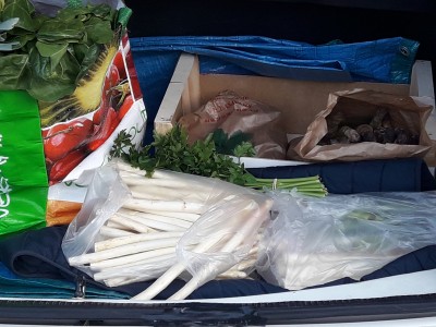 20210401_184259.jpg (2.6 Mio) Vu 3274 fois Quelques légumes