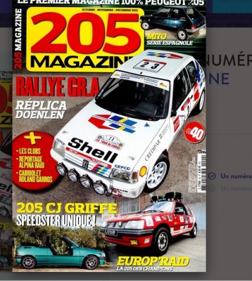 205 rallye doenlen.jpg