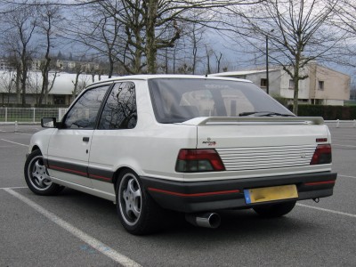 309 GTI (Ar-G).JPG