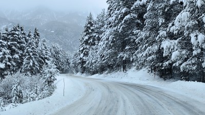 IMG_20241223_121538.jpg