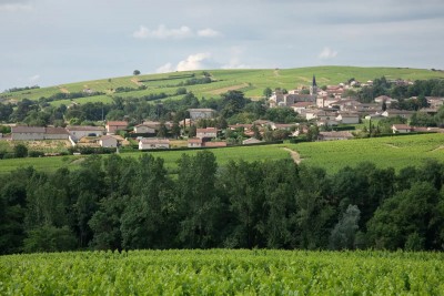 Cote-du-Py-Morgon-Ville.jpg