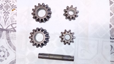 20250523_192755.jpg