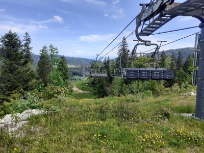 20250531_135626.jpg