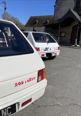 IMG_7944.jpeg