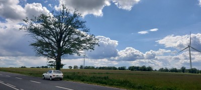 20260515_160029.jpg