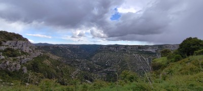 IMG_20260515_171554.jpg