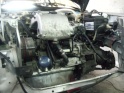 imgp0310.jpg